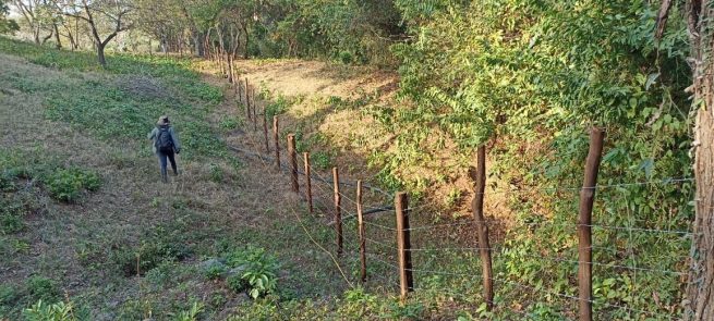 Rehabilitan 470 hectáreas de bosque para proteger ríos en Dibulla