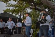 La Cátedra del Vallenato será implementada en colegios de Valledupar