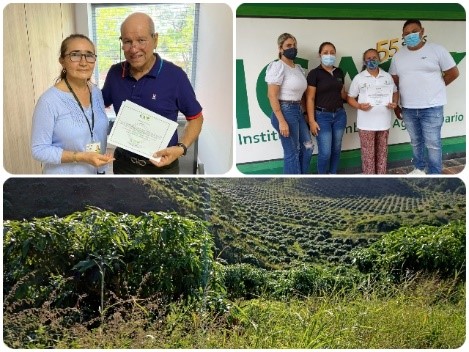 Cesar continúa consolidando su producción agrícola sana y de calidad