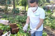 Corpocesar adelanta charlas educativas sobre el Caracol Africano