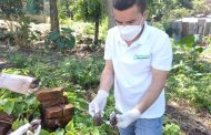 Corpocesar adelanta charlas educativas sobre el Caracol Africano