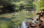 Notifican a la Corte Constitucional incumplimiento de dos órdenes sobre protección ambiental del arroyo Bruno, en La Guajira