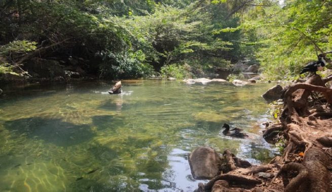 Notifican a la Corte Constitucional incumplimiento de dos órdenes sobre protección ambiental del arroyo Bruno, en La Guajira