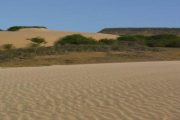 Desde La Guajira hacen seguimiento al paso de la nube de polvo proveniente del desierto del Sahara