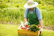 Más de 26.000 emprendedores rurales podrán acceder a línea de microcrédito