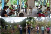 Cultivadores de La Guajira se capacitan en producción de vegetales para exportación en fresco