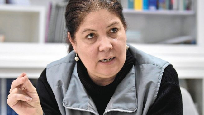 MOE reporta 207 denuncias por presunta participación en política de funcionarios