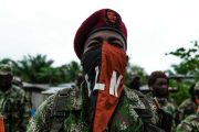 Eln anunció alto al fuego para las próximas elecciones presidenciales