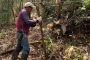 Implementa trabajos de reforestación para la recuperación de ecosistemas en Montes de Oca (La Guajira)