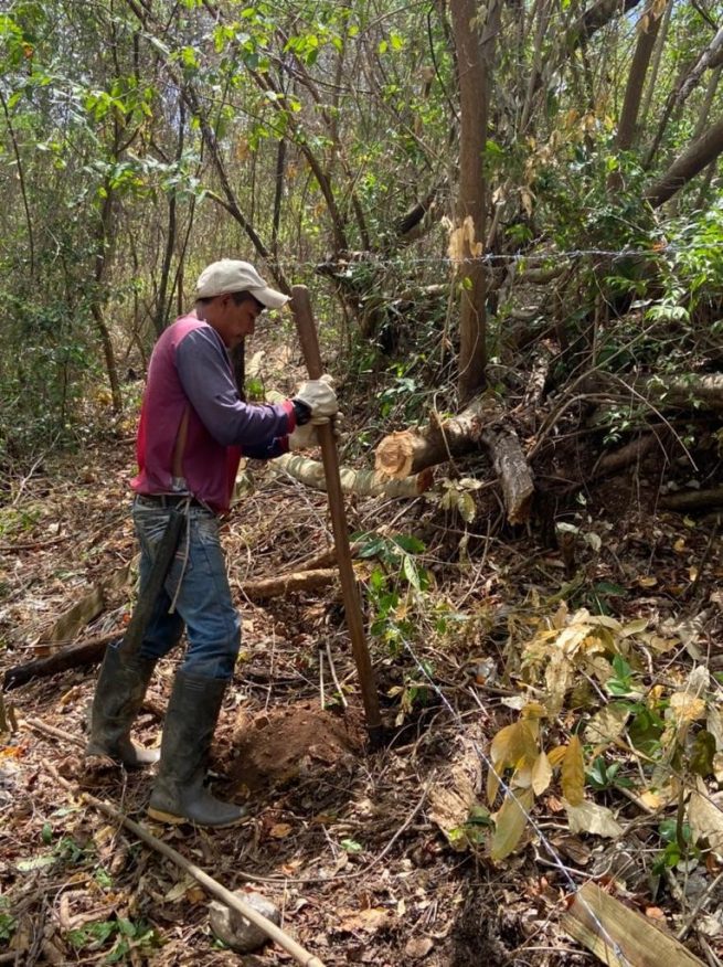 Implementa trabajos de reforestación para la recuperación de ecosistemas en Montes de Oca (La Guajira)