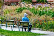 Mayores de 65 años tendrían derecho a un auxilio universal