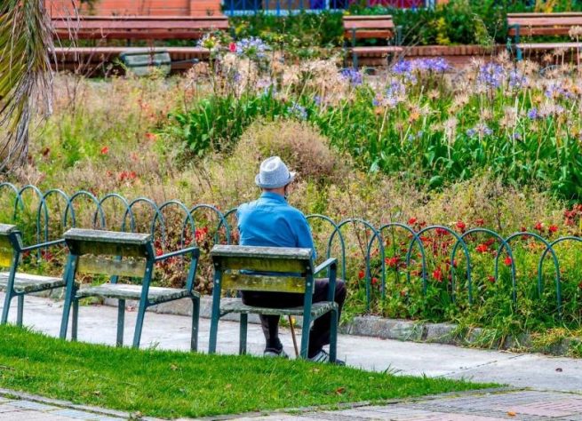 Mayores de 65 años tendrían derecho a un auxilio universal