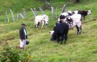 Cancelarán registros sanitarios de predios pecuarios en las áreas del Sistema de Parques Naturales Nacionales y Regionales