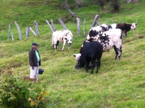 Cancelarán registros sanitarios de predios pecuarios en las áreas del Sistema de Parques Naturales Nacionales y Regionales