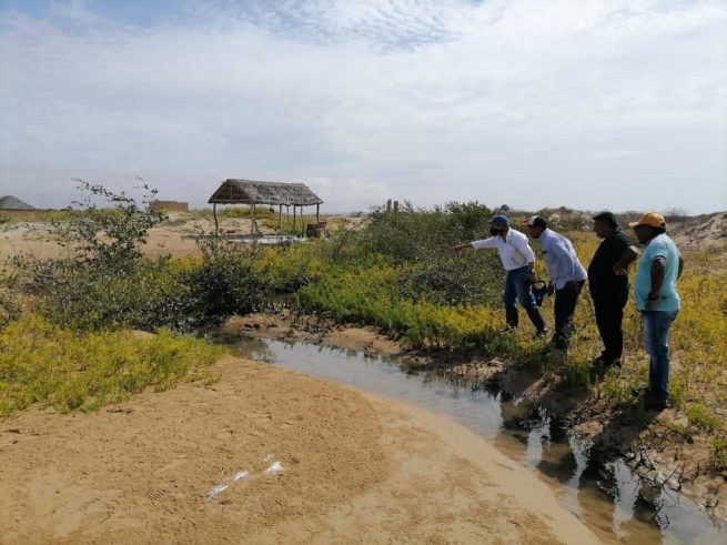 En La Guajira se desarrollará proyecto de protección de manglares