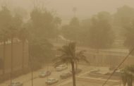 Un muerto y más de 5.000 hospitalizados por una gran tormenta de arena en Irak