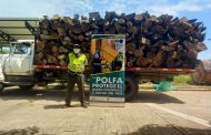 La Polfa incautó más de 36 millones en madera en carreteras del Cesar