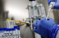 Qué es la viruela del simio o monkeypox, una rara infección que reaparece