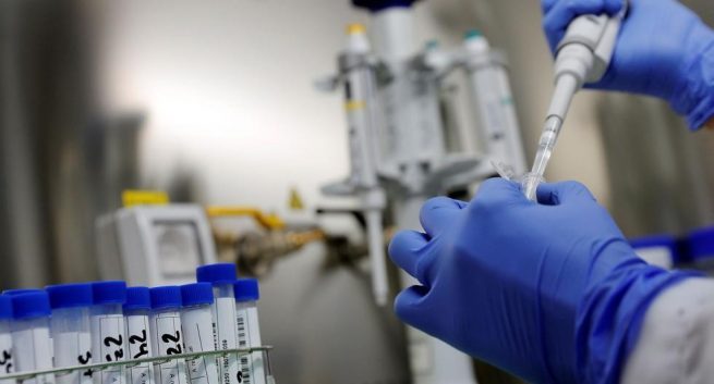 Qué es la viruela del simio o monkeypox, una rara infección que reaparece