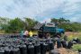 Agrosavia entregó 213 toneladas de ensilaje a los productores en el Caribe Seco colombiano