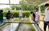 Enfoque de género, liderazgo y complemento generacional fue implementado con jóvenes restituidos del Cesar y La Guajira