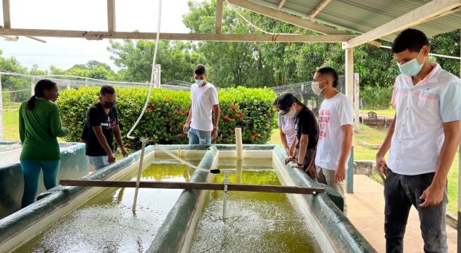 Enfoque de género, liderazgo y complemento generacional fue implementado con jóvenes restituidos del Cesar y La Guajira