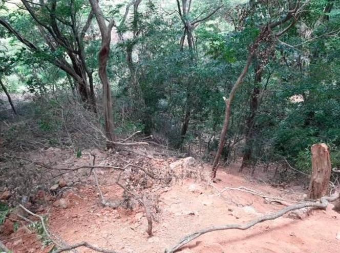En Fonseca, Corpoguajira impuso medidas preventivas por extracción ilegal de barita