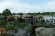 A pobladores del corregimiento de Guaymaral, (Curumaní), el invierno los tiene en alerta
