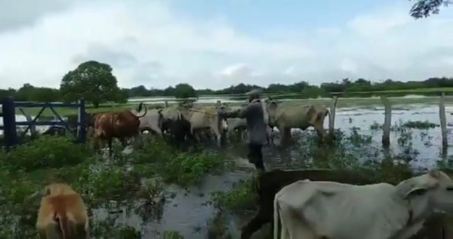 A pobladores del corregimiento de Guaymaral, (Curumaní), el invierno los tiene en alerta