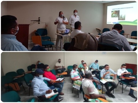 En La Guajira, primer Comité Técnico de plátano y banano