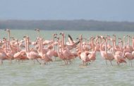 En La Guajira realizarán capacitación sobre requisitos ambientales para la sostenibilidad turística