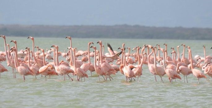 En La Guajira realizarán capacitación sobre requisitos ambientales para la sostenibilidad turística