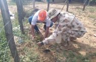 Ejército Nacional y Alcaldía siembran 2200 árboles nativos en Uribia