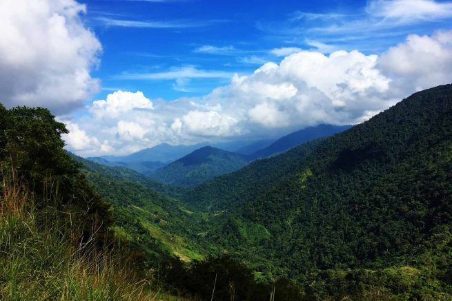 Definidas líneas de acción para la recuperación ambiental de la Sierra Nevada de Santa Marta