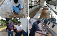 En La Guajira, el ICA vigila el cumplimiento de la normatividad sanitaria en cultivos de banano