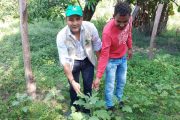 Icbf en Cesar impulsa la iniciativa “Cosechando sueños, cultivando amor”
