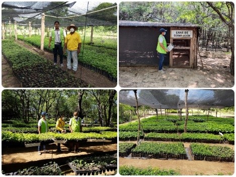 El ICA les pone el ojo a los viveros de La Guajira