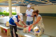 Secretaría de salud de Valledupar advierte que el moquillo se previene con vacunación