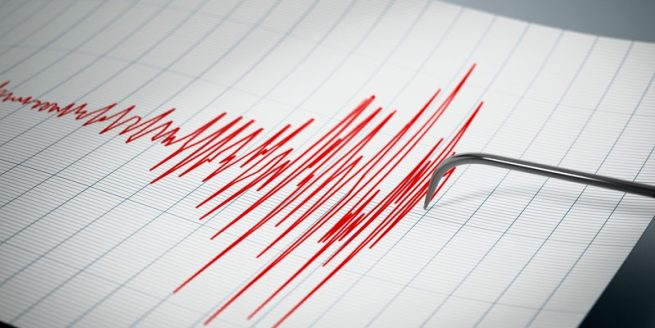 Registran cinco sismos frente a las costas de Ecuador