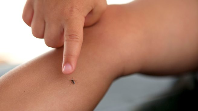 Decretan alerta naranja en La Guajira por aumento de los casos de dengue