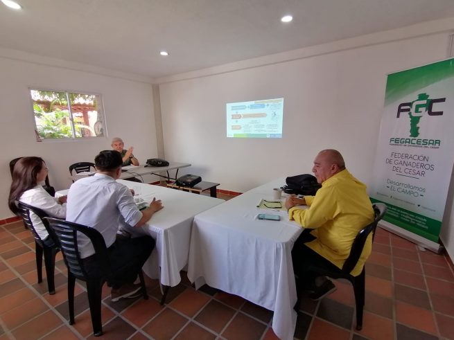 Federación de Ganaderos del Cesar capacitará a campesinos restituidos con vocación productiva en este renglón