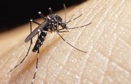 Minsalud lanzó la campaña “Hogares sin mosquito, familias sin dengue”