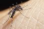 Minsalud lanzó la campaña “Hogares sin mosquito, familias sin dengue”