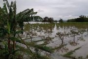 Minagricultura anuncia medidas a corto y mediano plazo para ayudar productores rurales afectados por ola invernal