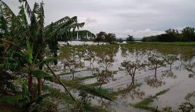 Minagricultura anuncia medidas a corto y mediano plazo para ayudar productores rurales afectados por ola invernal