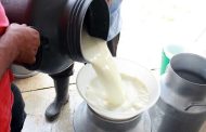 El precio de la leche seguirá subiendo: Asoleche