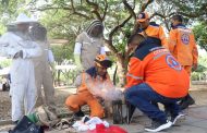 Corpocesar ejecuta el plan de capacitación apícola en los diferentes municipios del departamento
