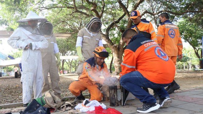 Corpocesar ejecuta el plan de capacitación apícola en los diferentes municipios del departamento