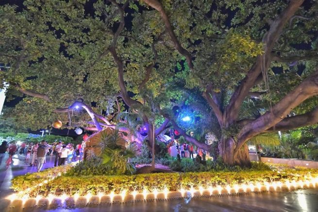Gobierno del Cesar lanzó la campaña 'El Cesar se ilumina sin pólvora'