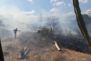 Por temporada seca, alerta por incendios forestales en La Guajira